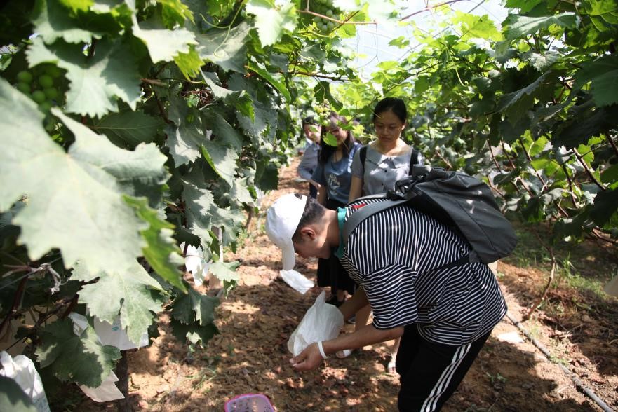 e218c7b89cdd4aaaa792071d6d44a9b2.jpg e218c7b89cdd4aaaa792071d6d44a9b2.jpg